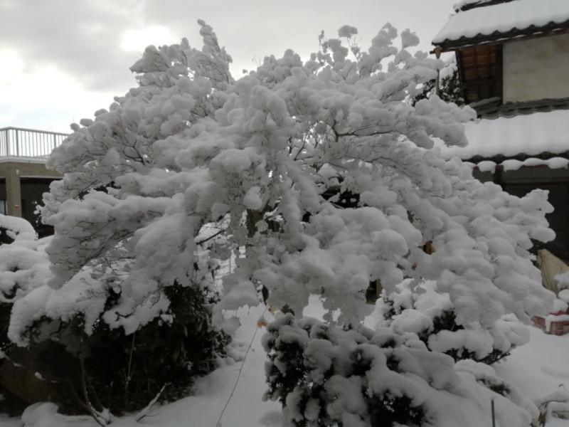 O Inverno Chegou
