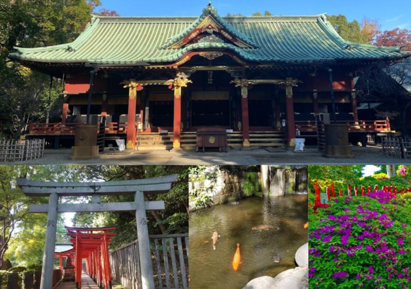 Santuário Nezu: A tranquilidade no centro de Tokyo